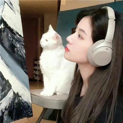 洞察力